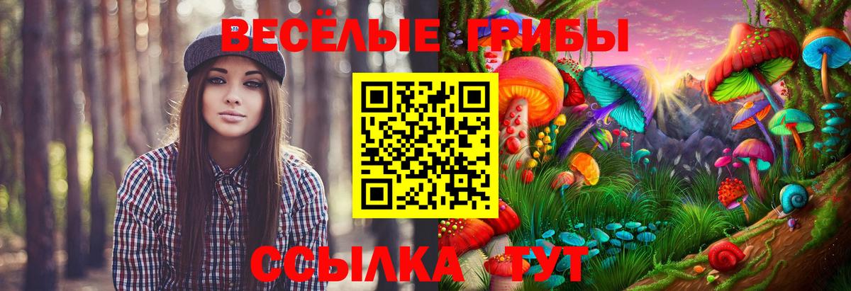 Псилоцибиновые грибы Cubensis Кореновск
