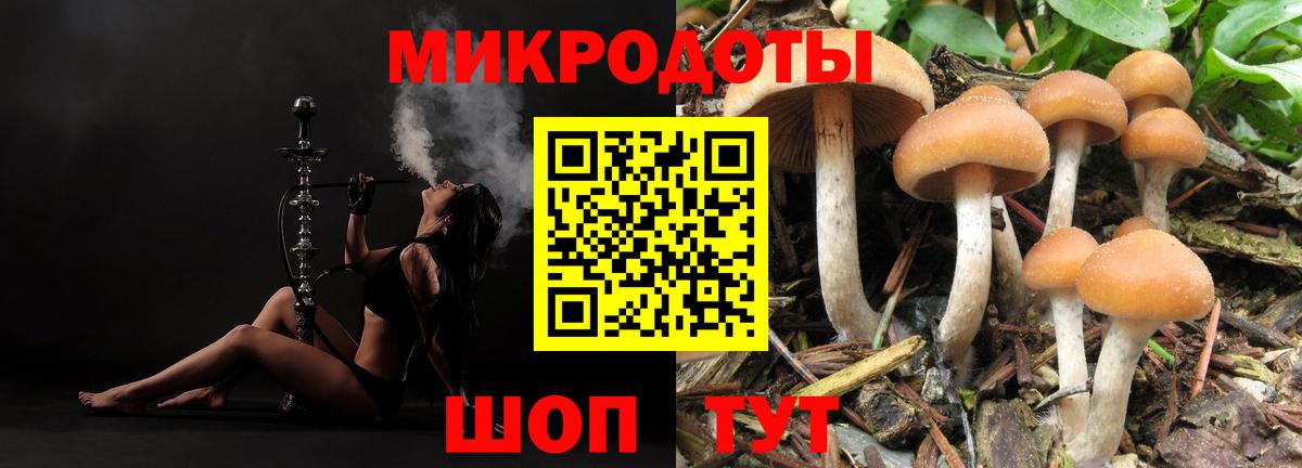 Псилоцибиновые грибы мухоморы  Вход с VPN  Кореновск 